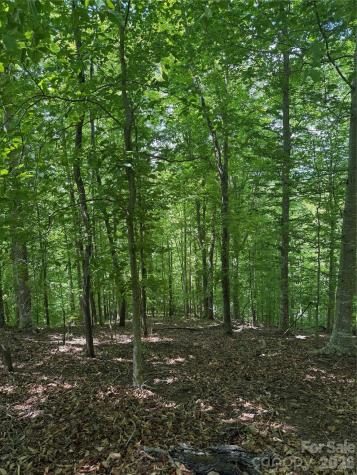 0 Creekside Circle Rutherfordton NC 28139