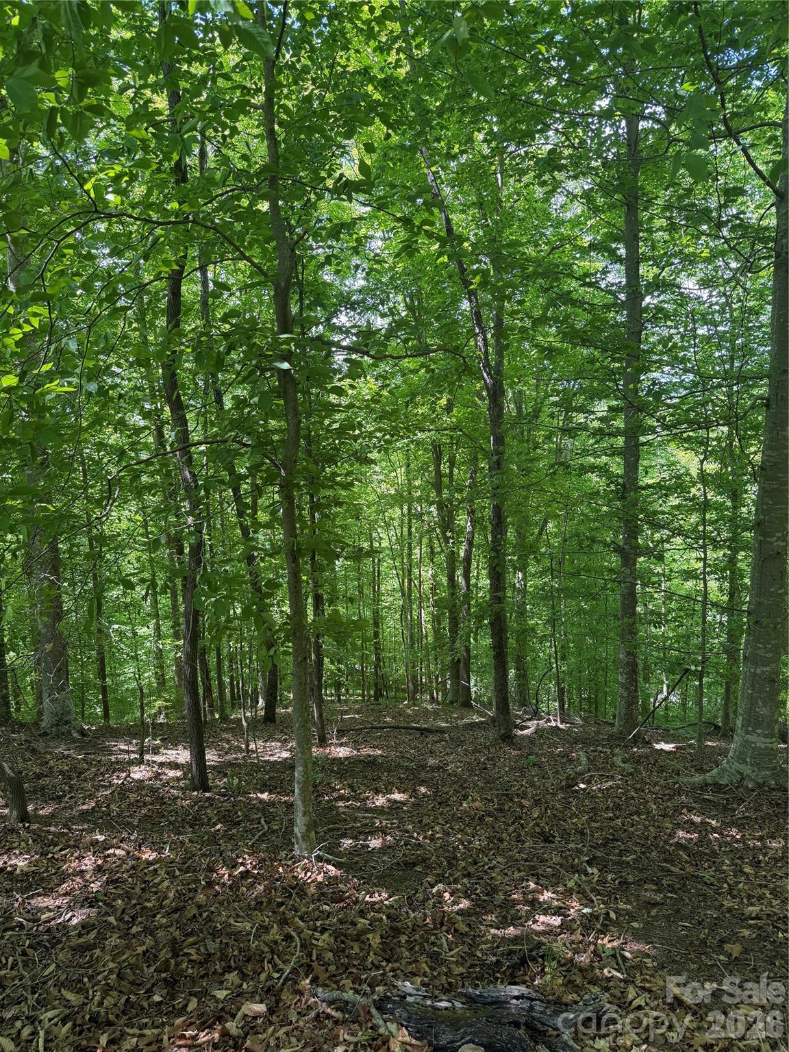 0 Creekside Circle Rutherfordton NC 28139