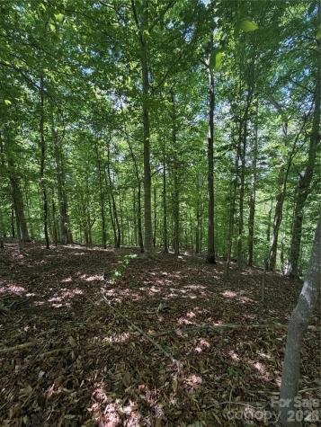 0 Creekside Circle Rutherfordton NC 28139