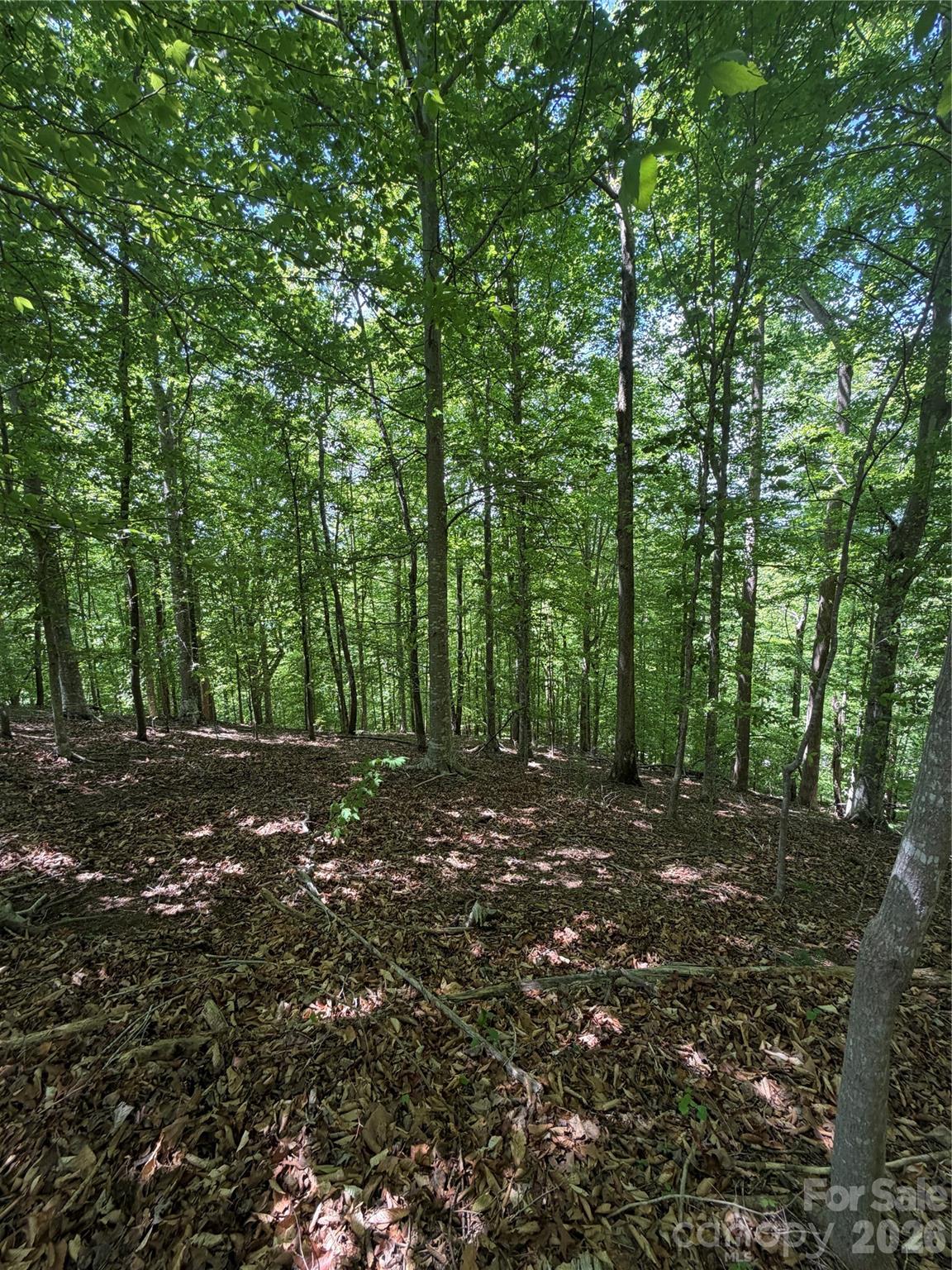 0 Creekside Circle Rutherfordton NC 28139