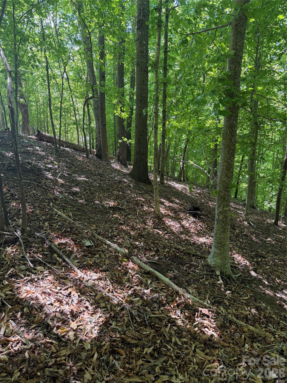0 Creekside Circle Rutherfordton NC 28139