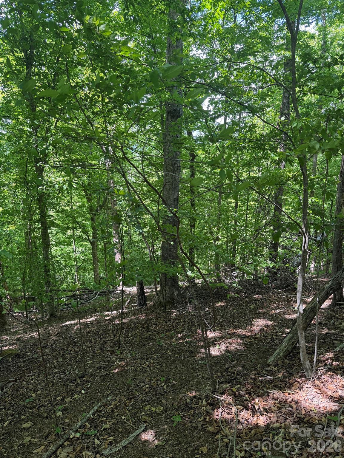 0 Creekside Circle Rutherfordton NC 28139