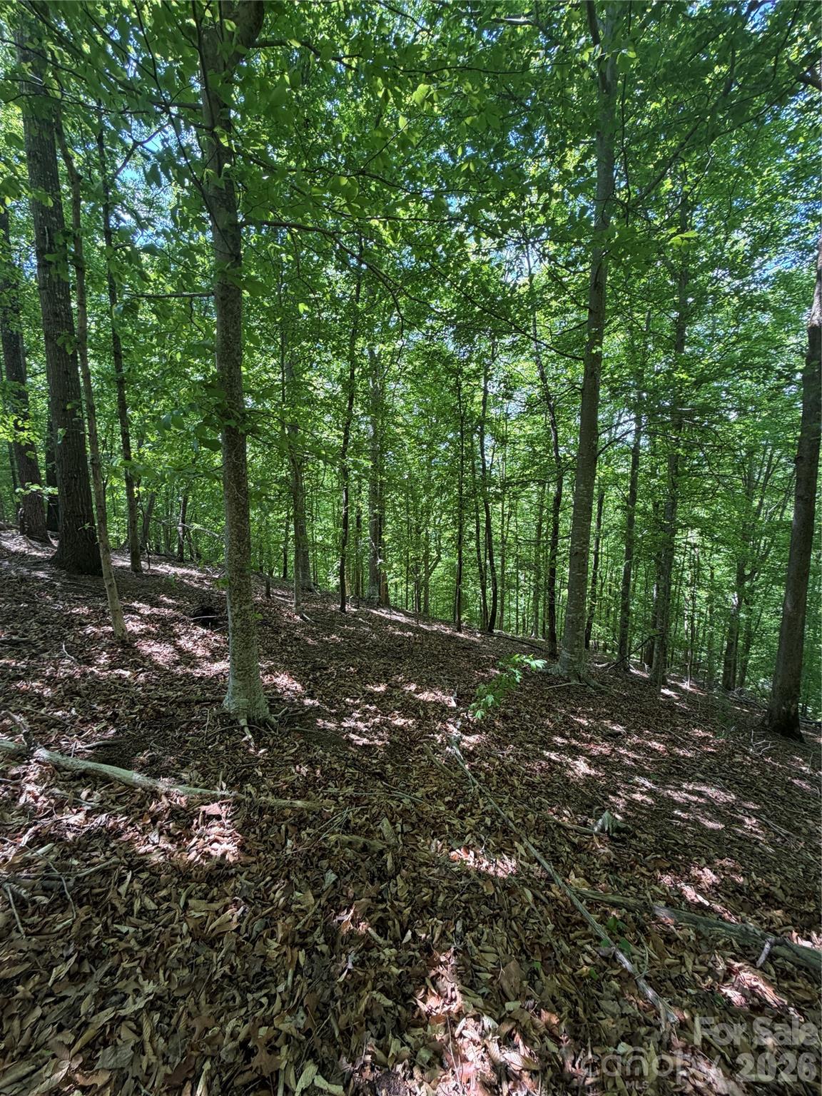 0 Creekside Circle Rutherfordton NC 28139