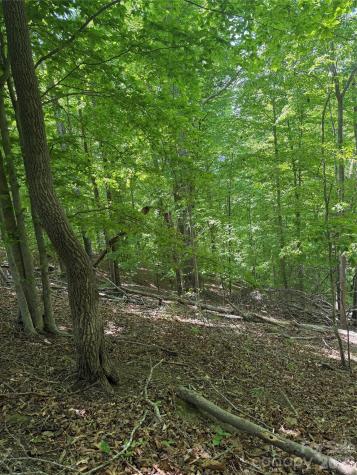 0 Creekside Circle Rutherfordton NC 28139