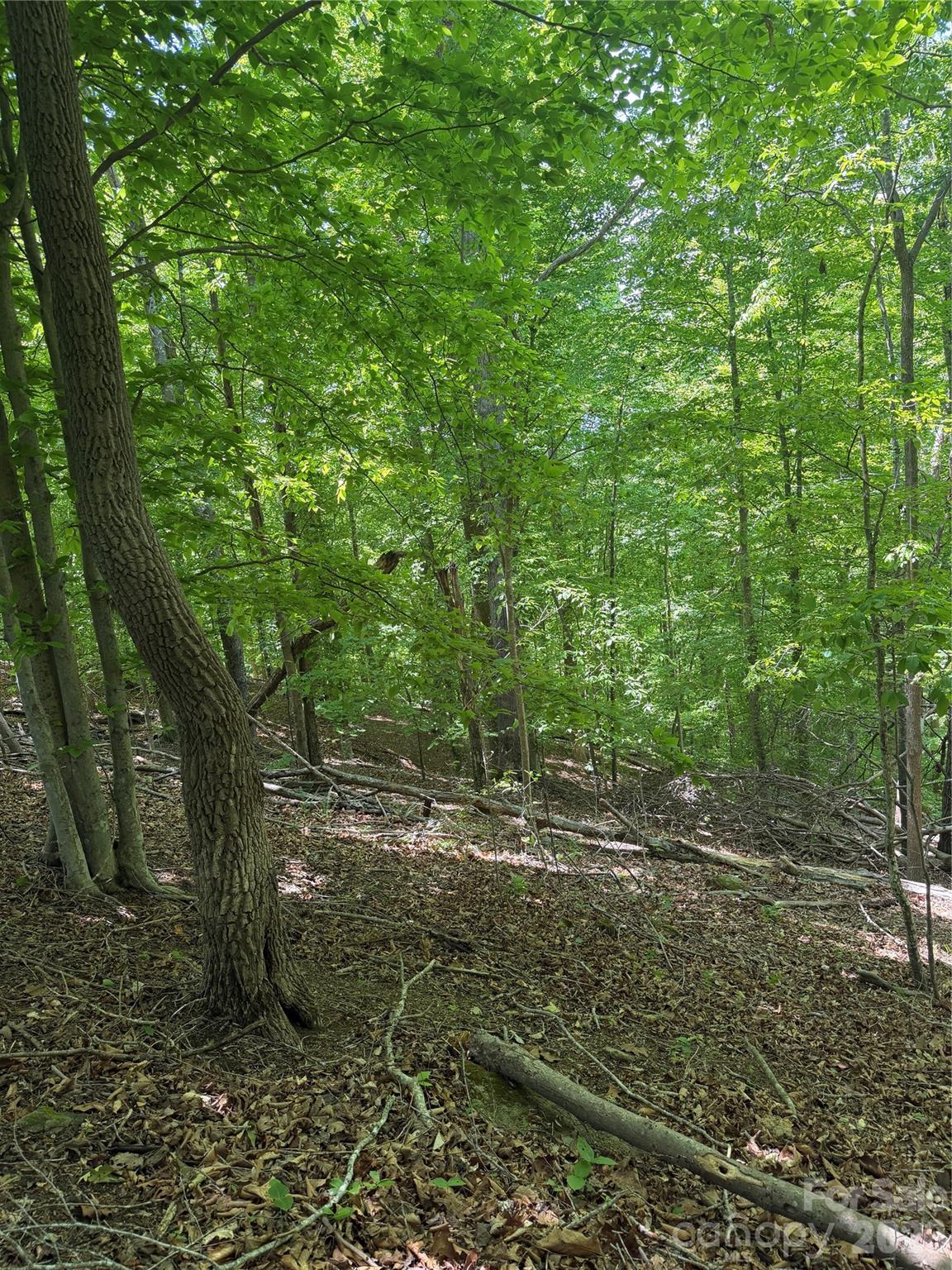 0 Creekside Circle Rutherfordton NC 28139