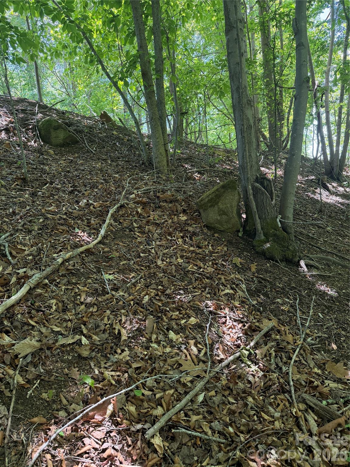 0 Creekside Circle Rutherfordton NC 28139