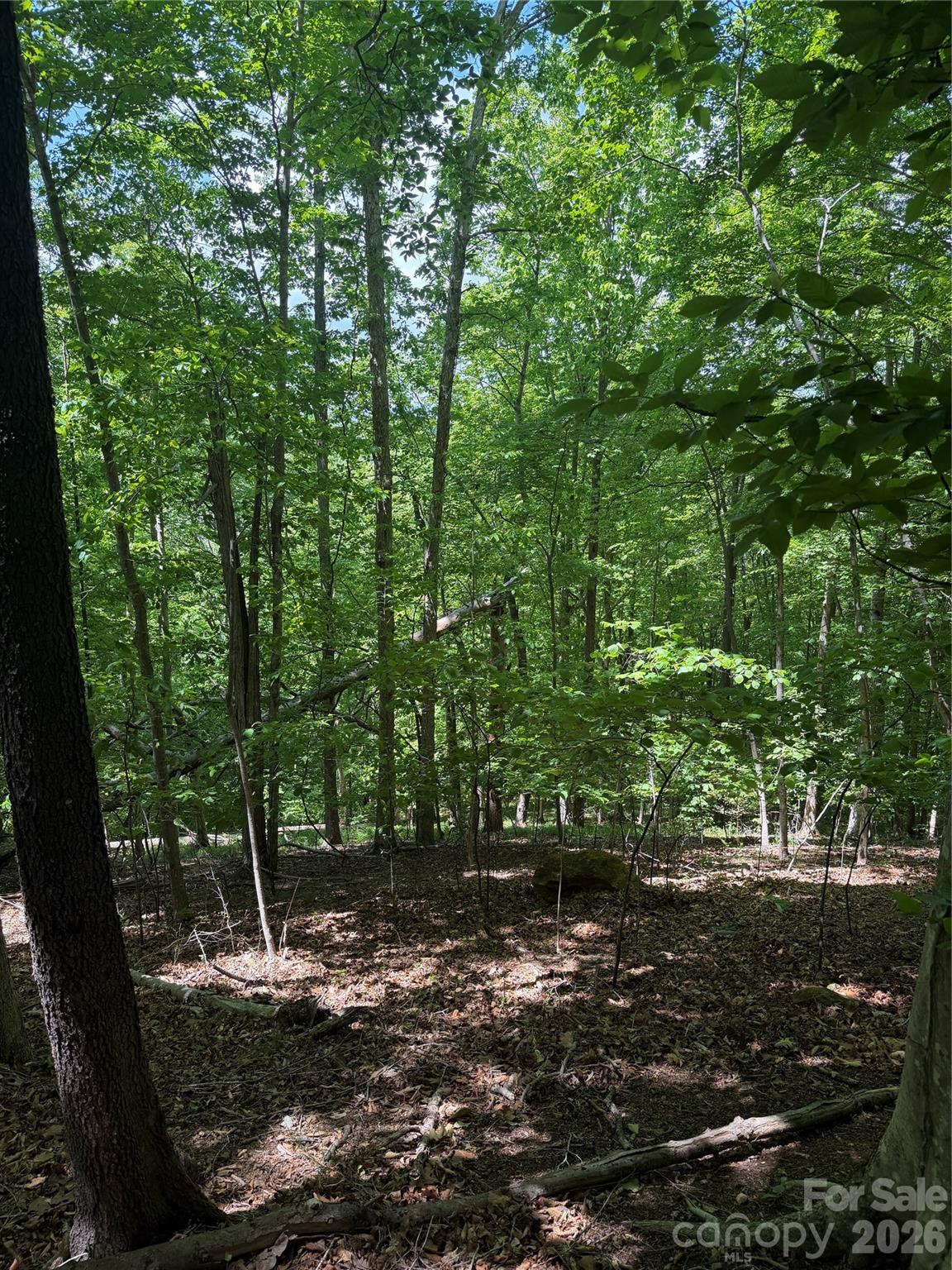 0 Creekside Circle Rutherfordton NC 28139