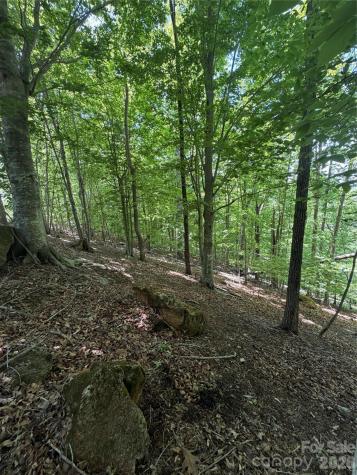 0 Creekside Circle Rutherfordton NC 28139