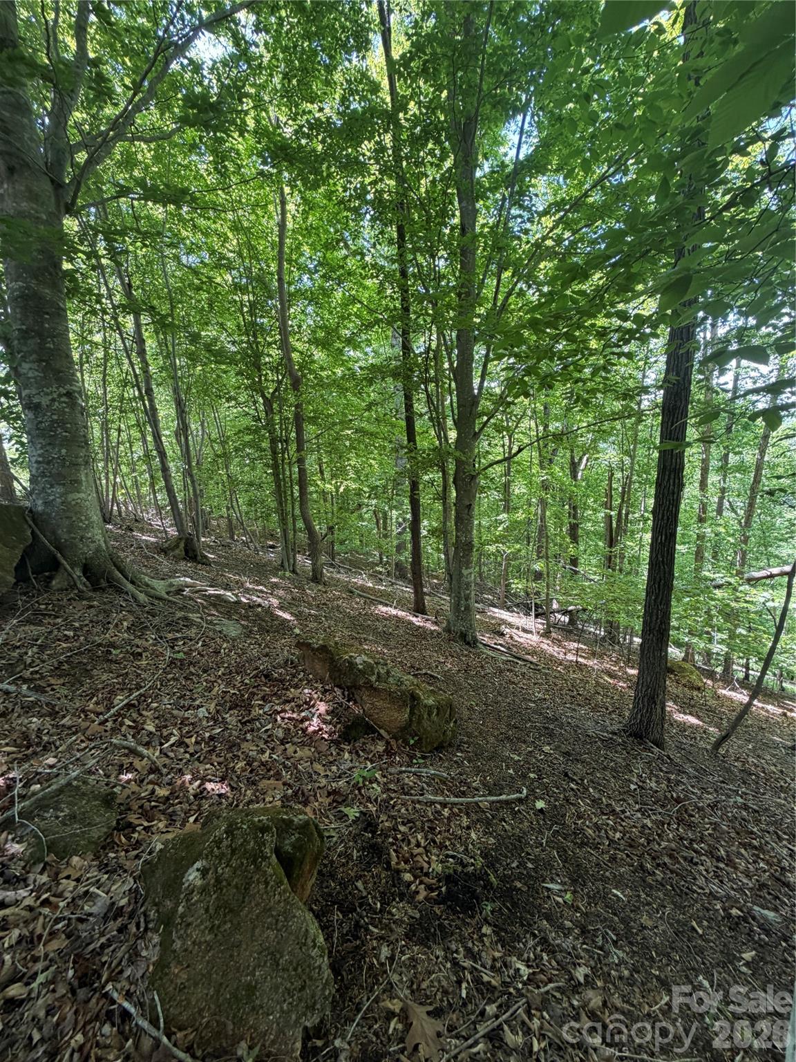 0 Creekside Circle Rutherfordton NC 28139