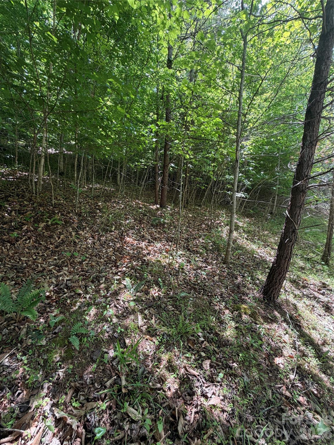 0 Creekside Circle Rutherfordton NC 28139