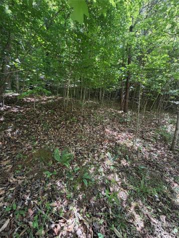 0 Creekside Circle Rutherfordton NC 28139