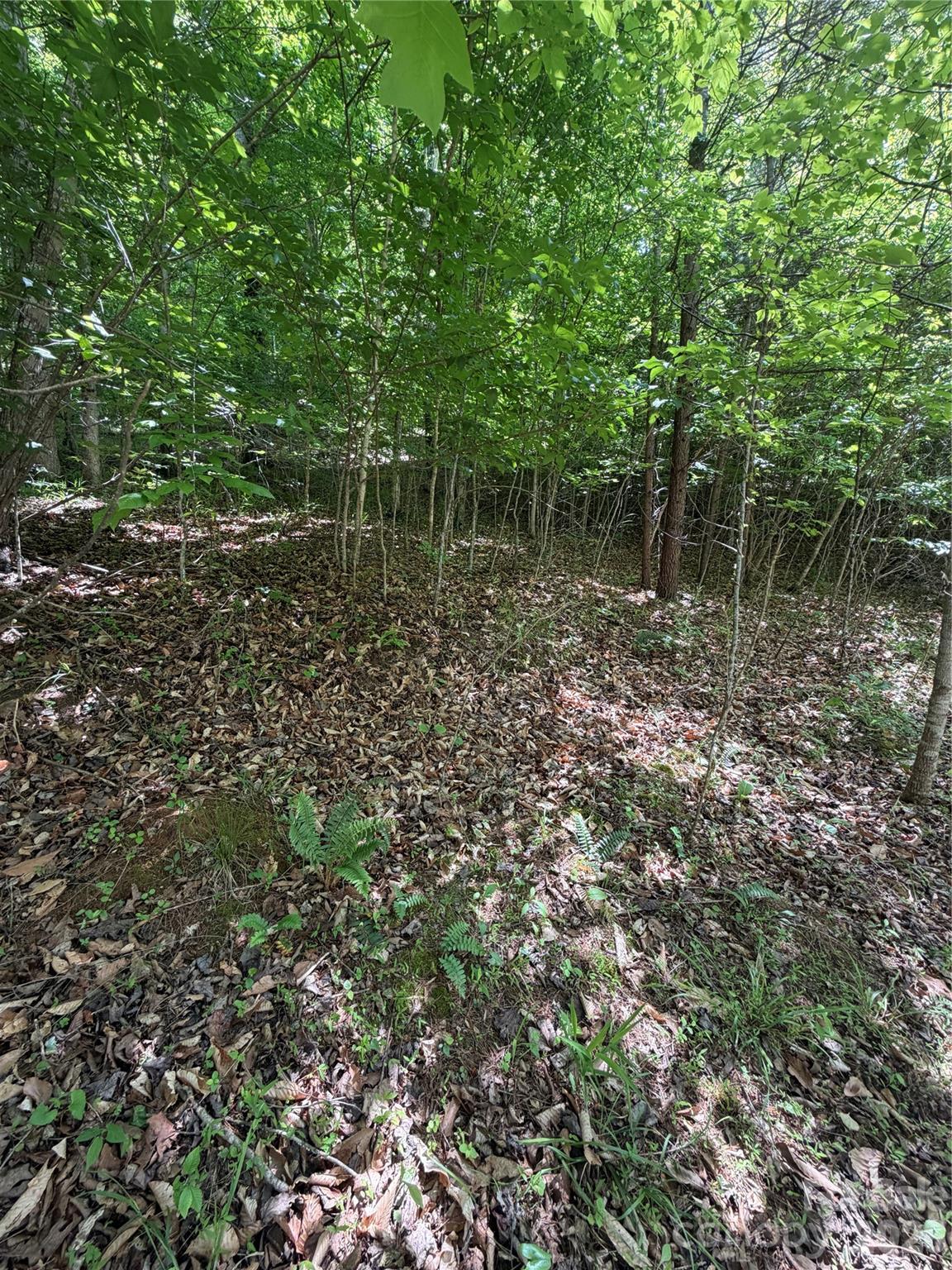 0 Creekside Circle Rutherfordton NC 28139