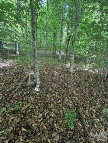 0 Creekside Circle Rutherfordton NC 28139