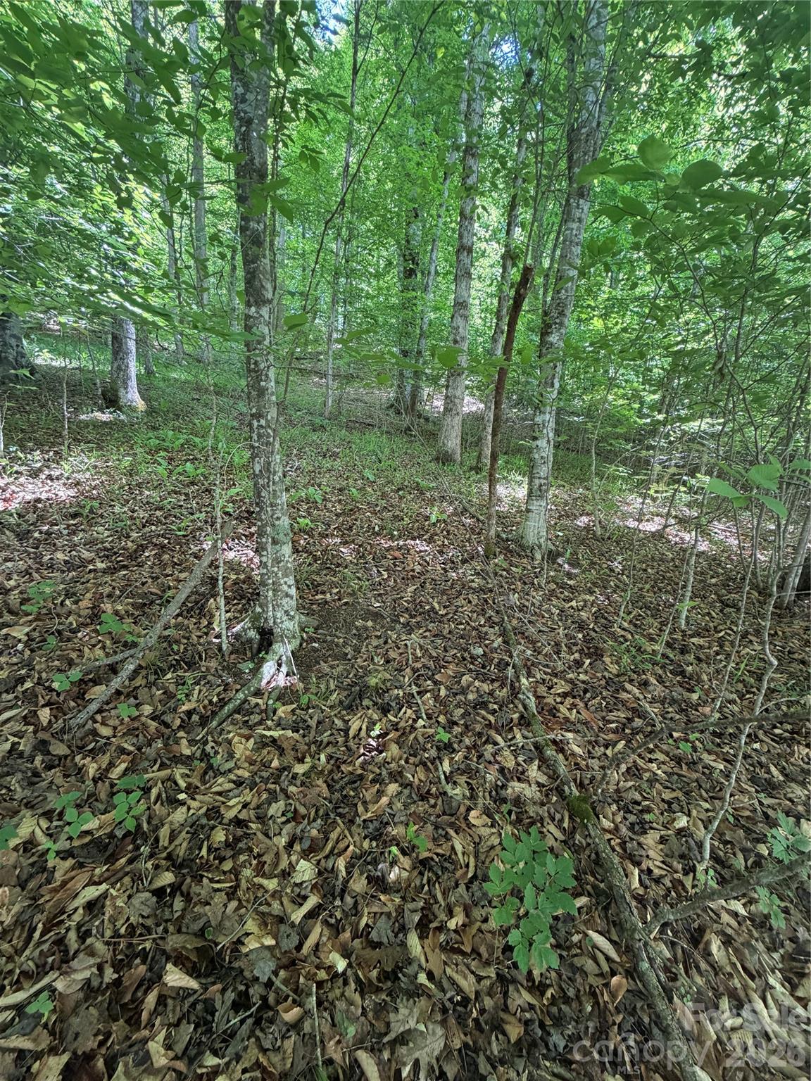 0 Creekside Circle Rutherfordton NC 28139