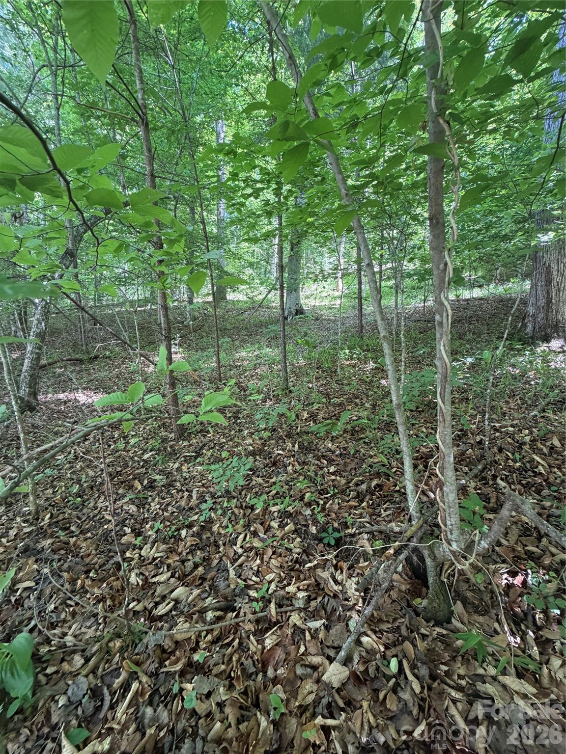 0 Creekside Circle Rutherfordton NC 28139