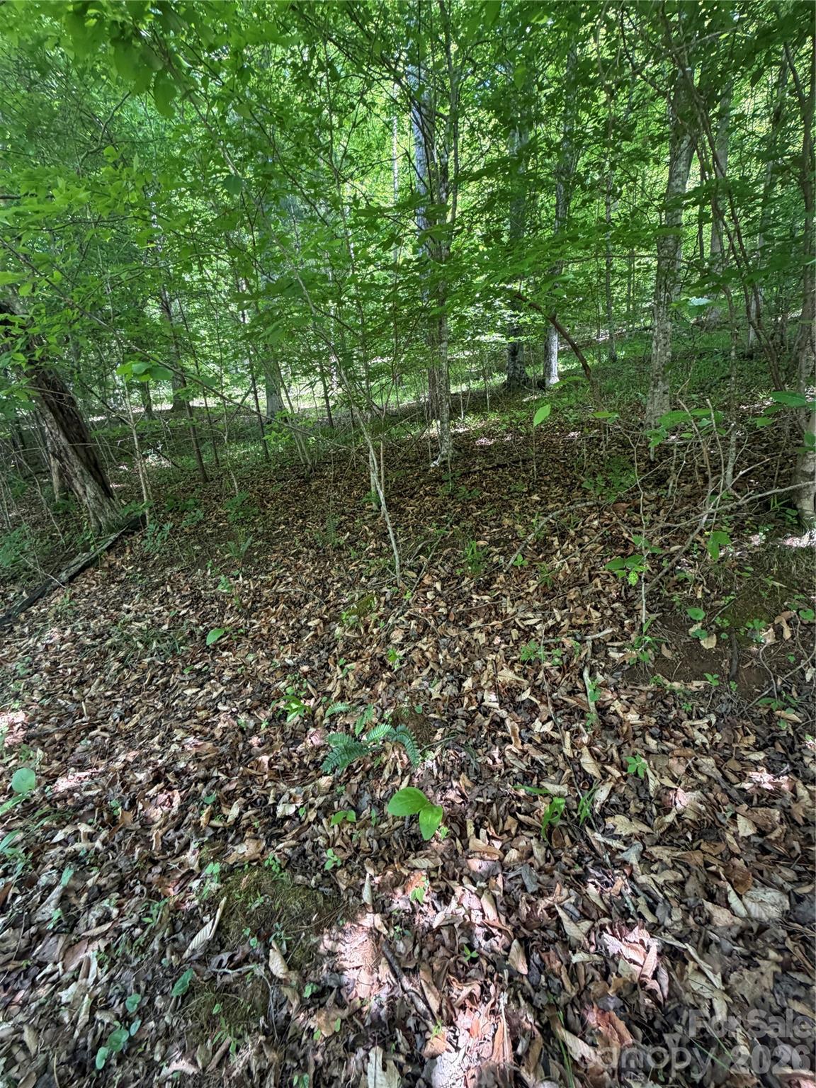 0 Creekside Circle Rutherfordton NC 28139