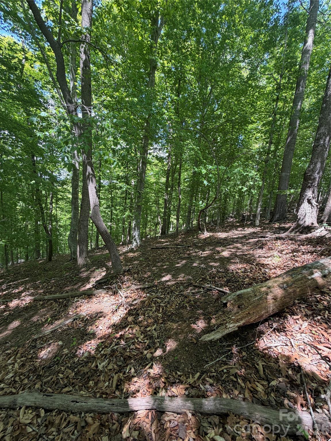 0 Creekside Circle Rutherfordton NC 28139