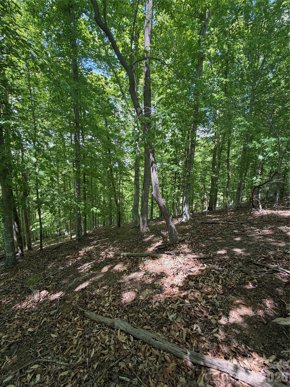 0 Creekside Circle Rutherfordton NC 28139