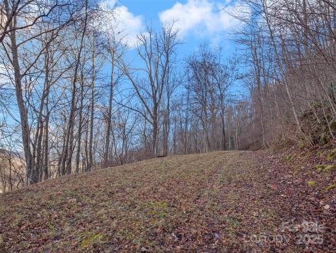 534 Kendal Drive Leicester NC 28748