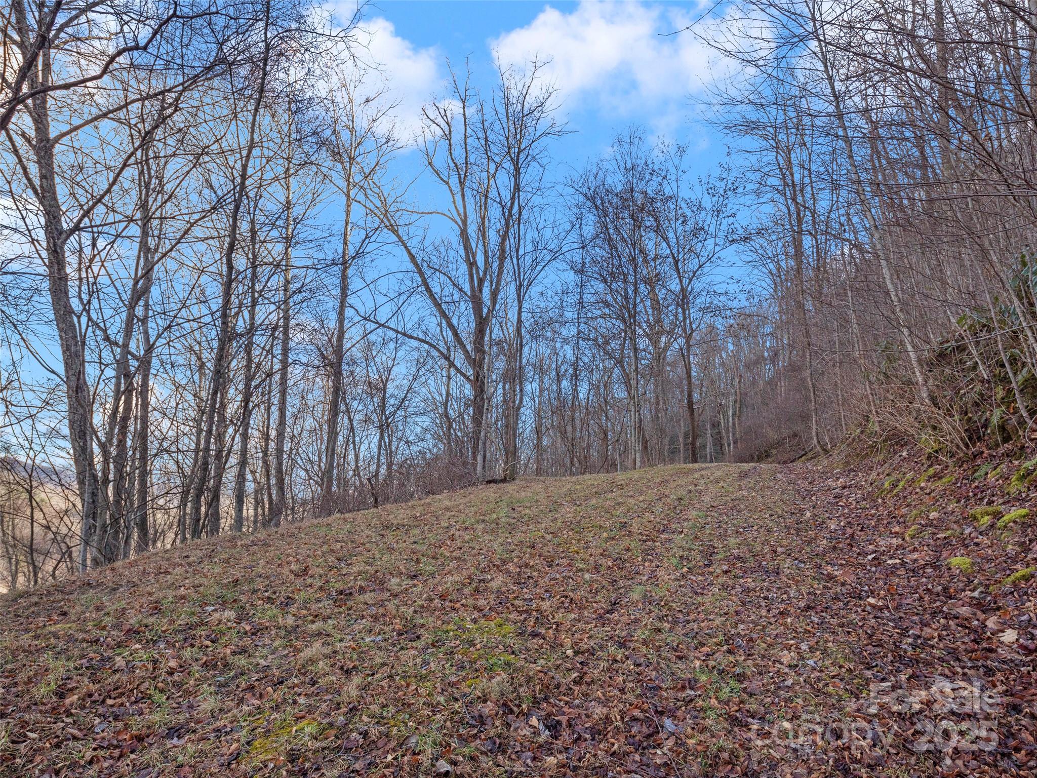 534 Kendal Drive Leicester NC 28748