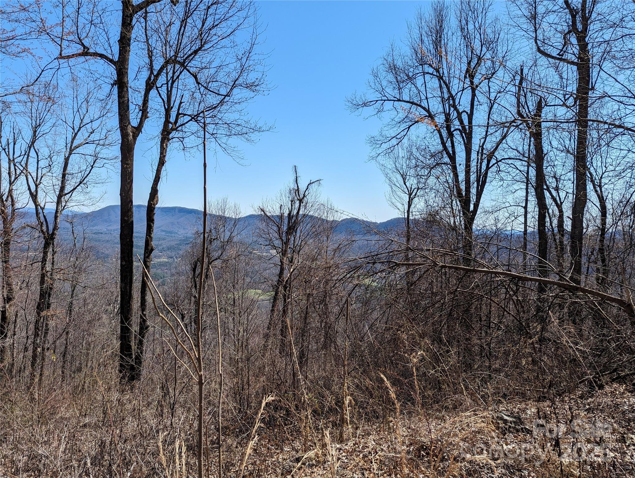 2687 Creston Drive Black Mountain NC 28711