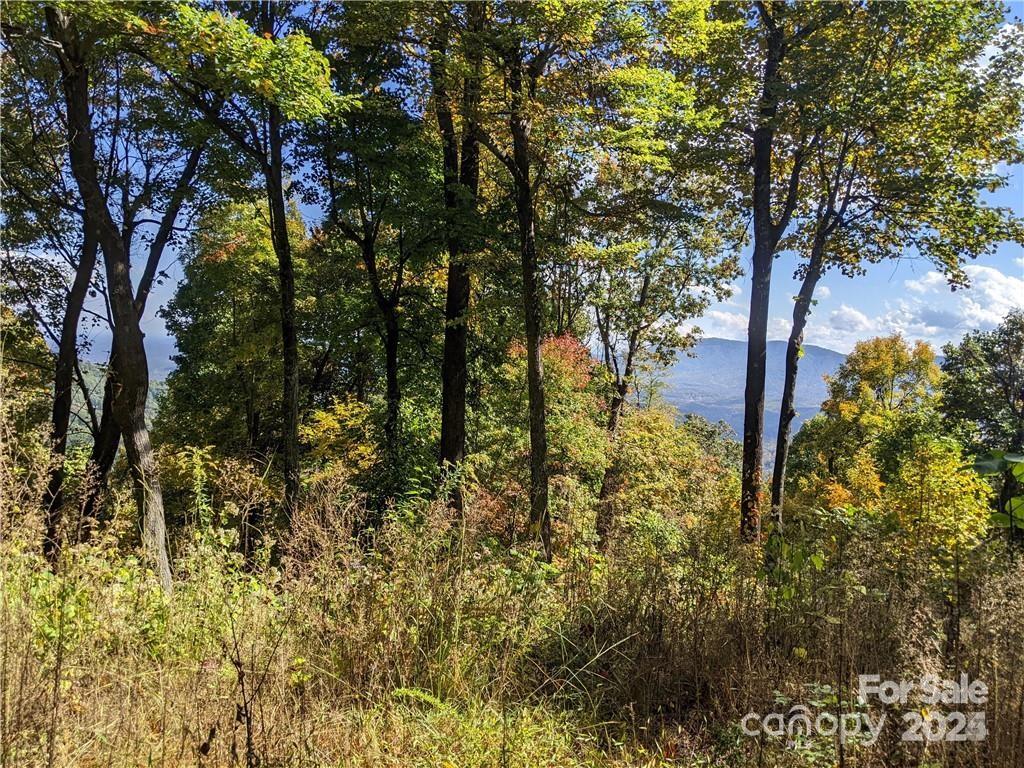 2687 Creston Drive Black Mountain NC 28711