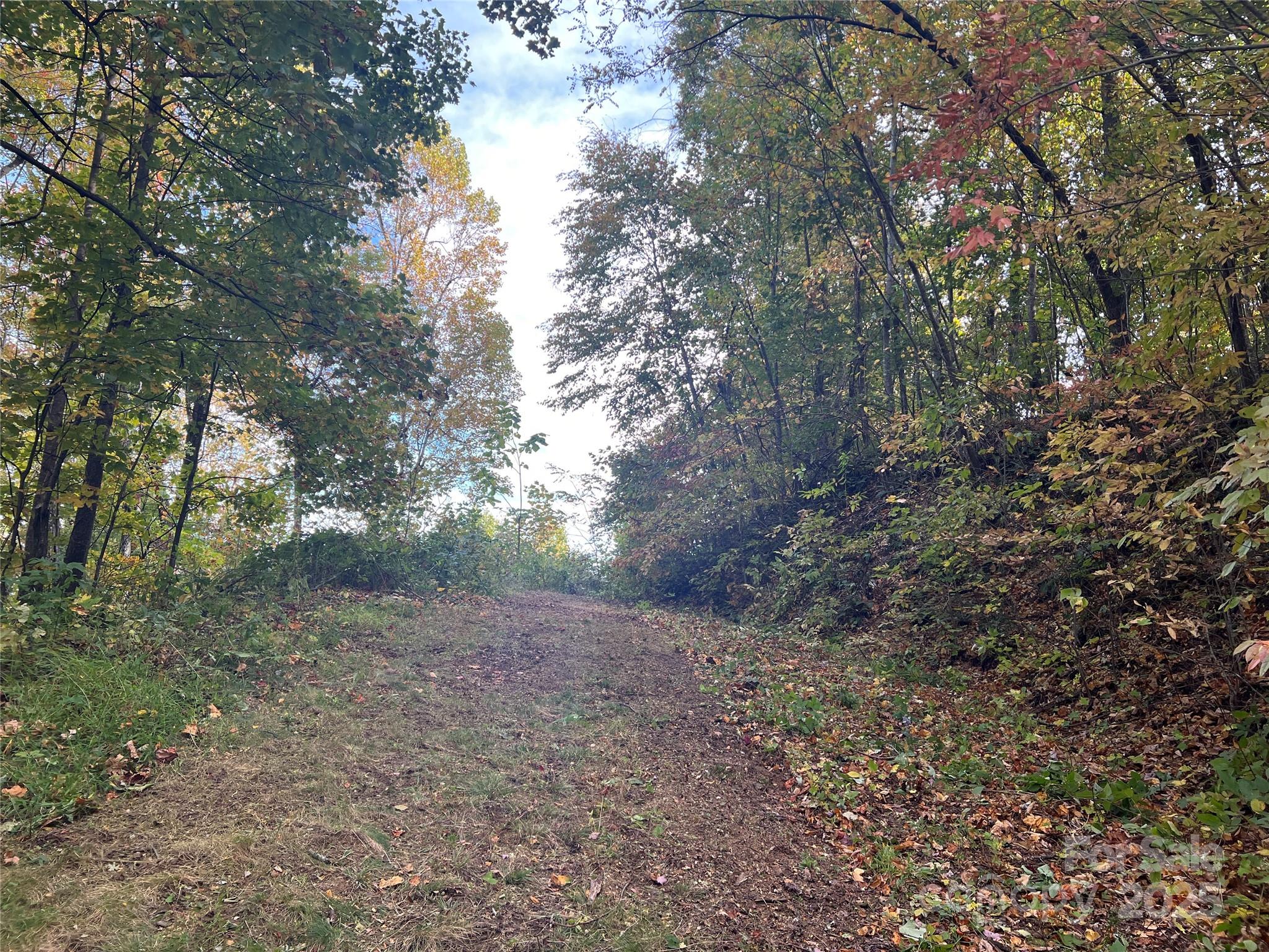 2687 Creston Drive Black Mountain NC 28711