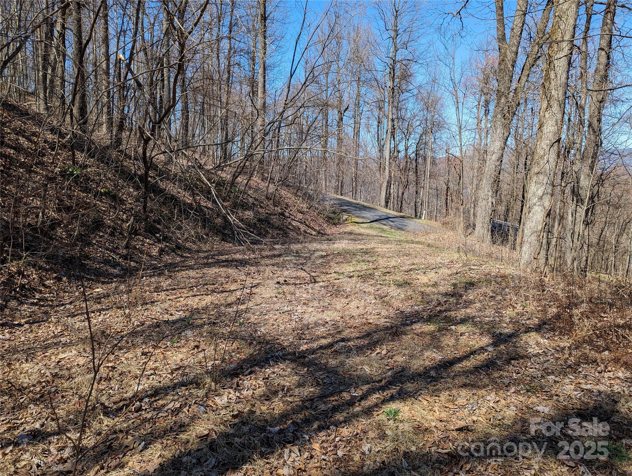 2687 Creston Drive Black Mountain NC 28711
