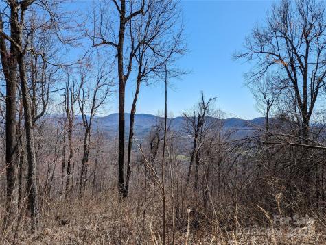 2687 Creston Drive Black Mountain NC 28711
