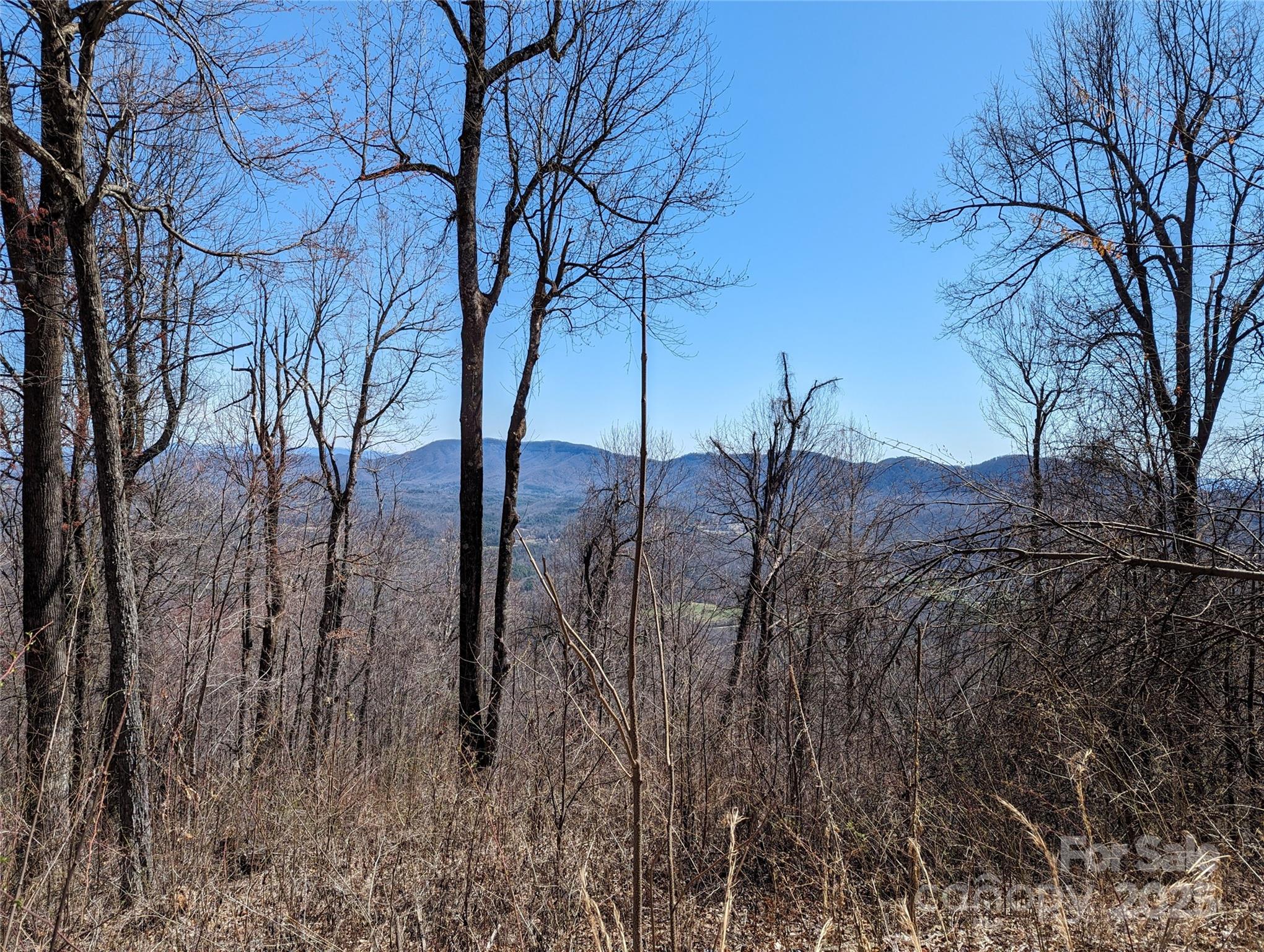 2687 Creston Drive Black Mountain NC 28711