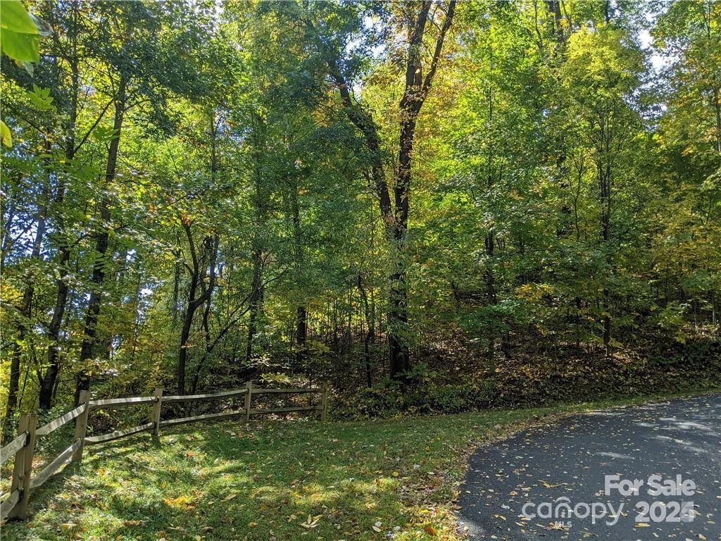 2687 Creston Drive Black Mountain NC 28711