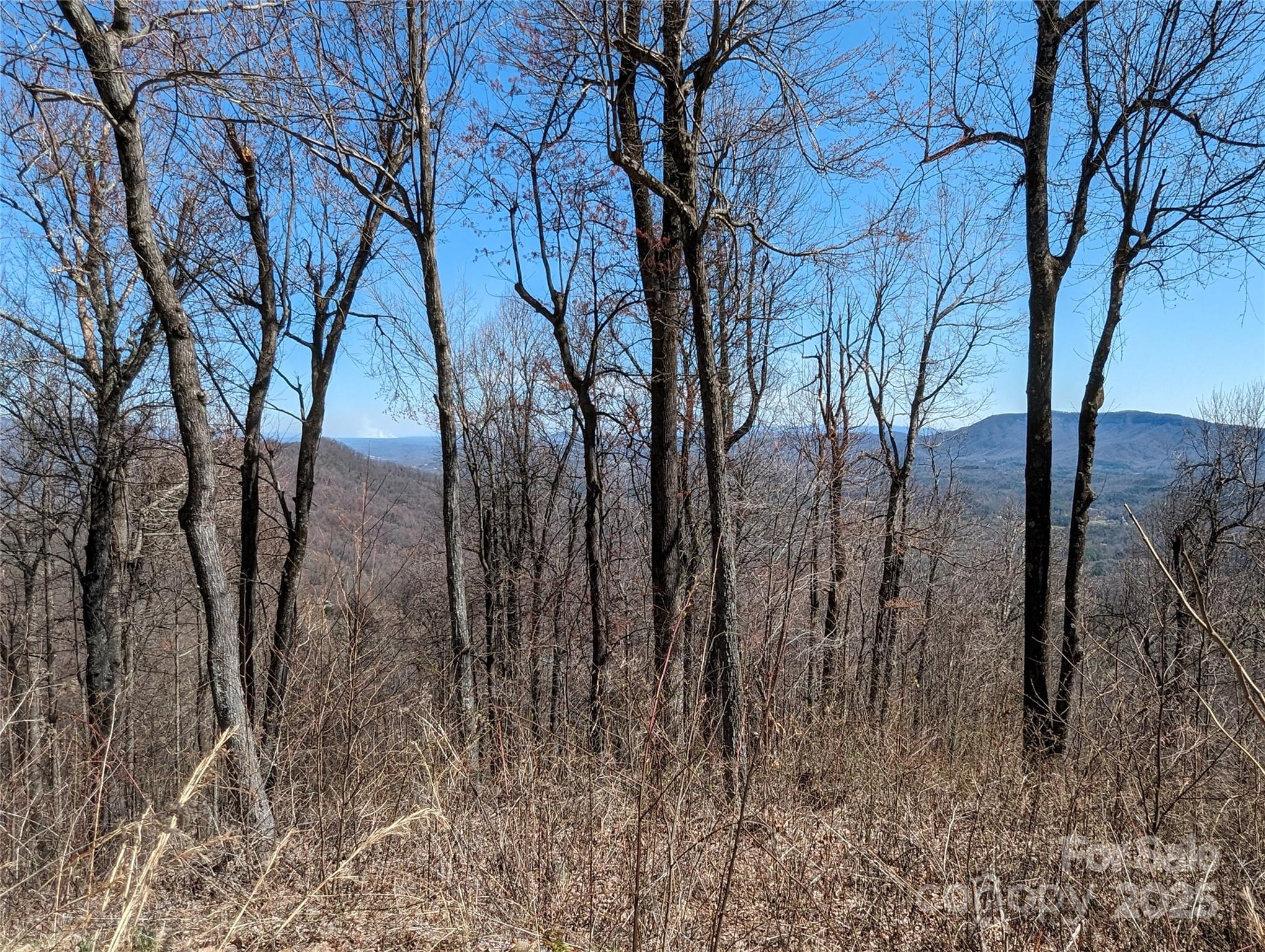 2687 Creston Drive Black Mountain NC 28711