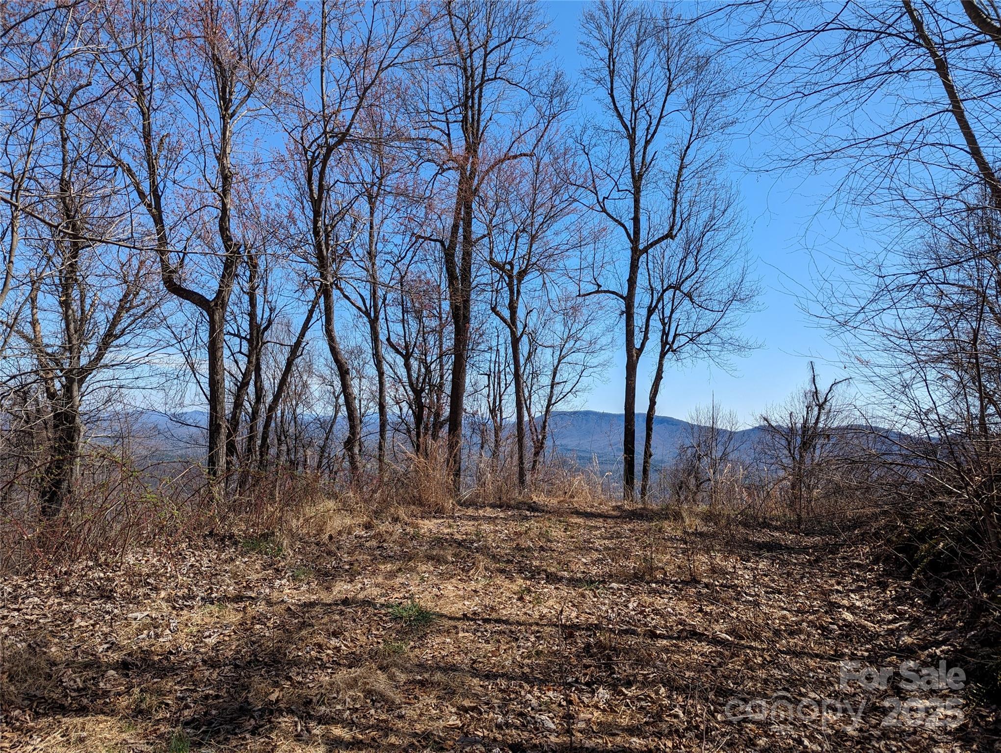2687 Creston Drive Black Mountain NC 28711
