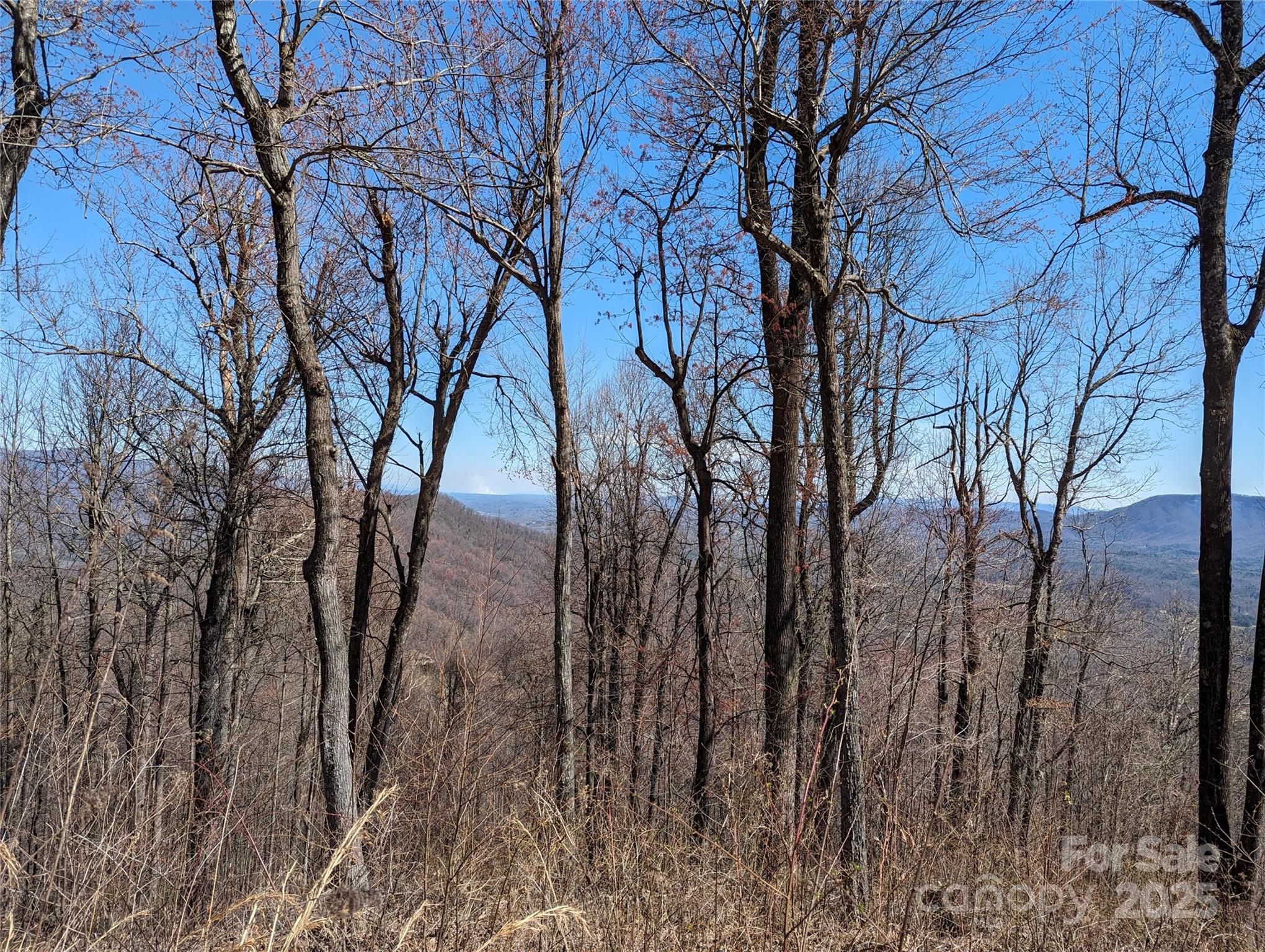 2687 Creston Drive Black Mountain NC 28711