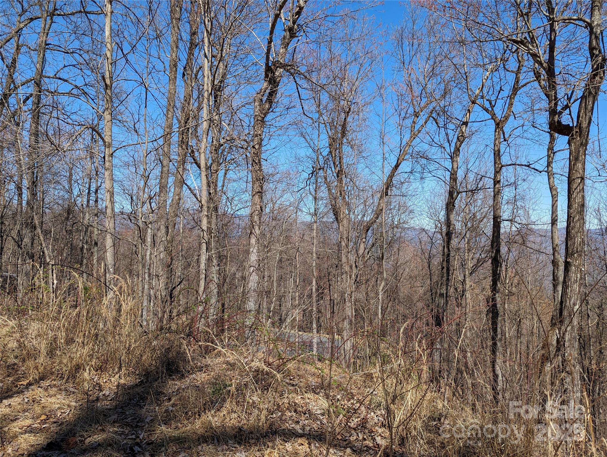 2687 Creston Drive Black Mountain NC 28711
