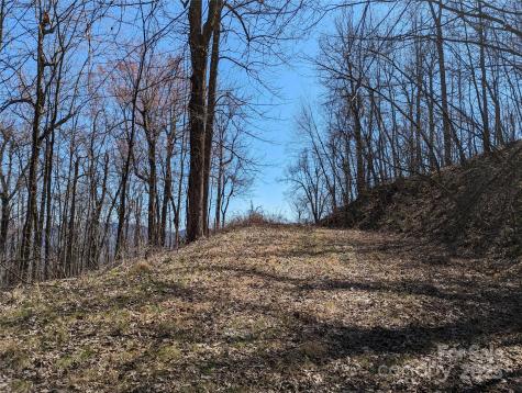2687 Creston Drive Black Mountain NC 28711