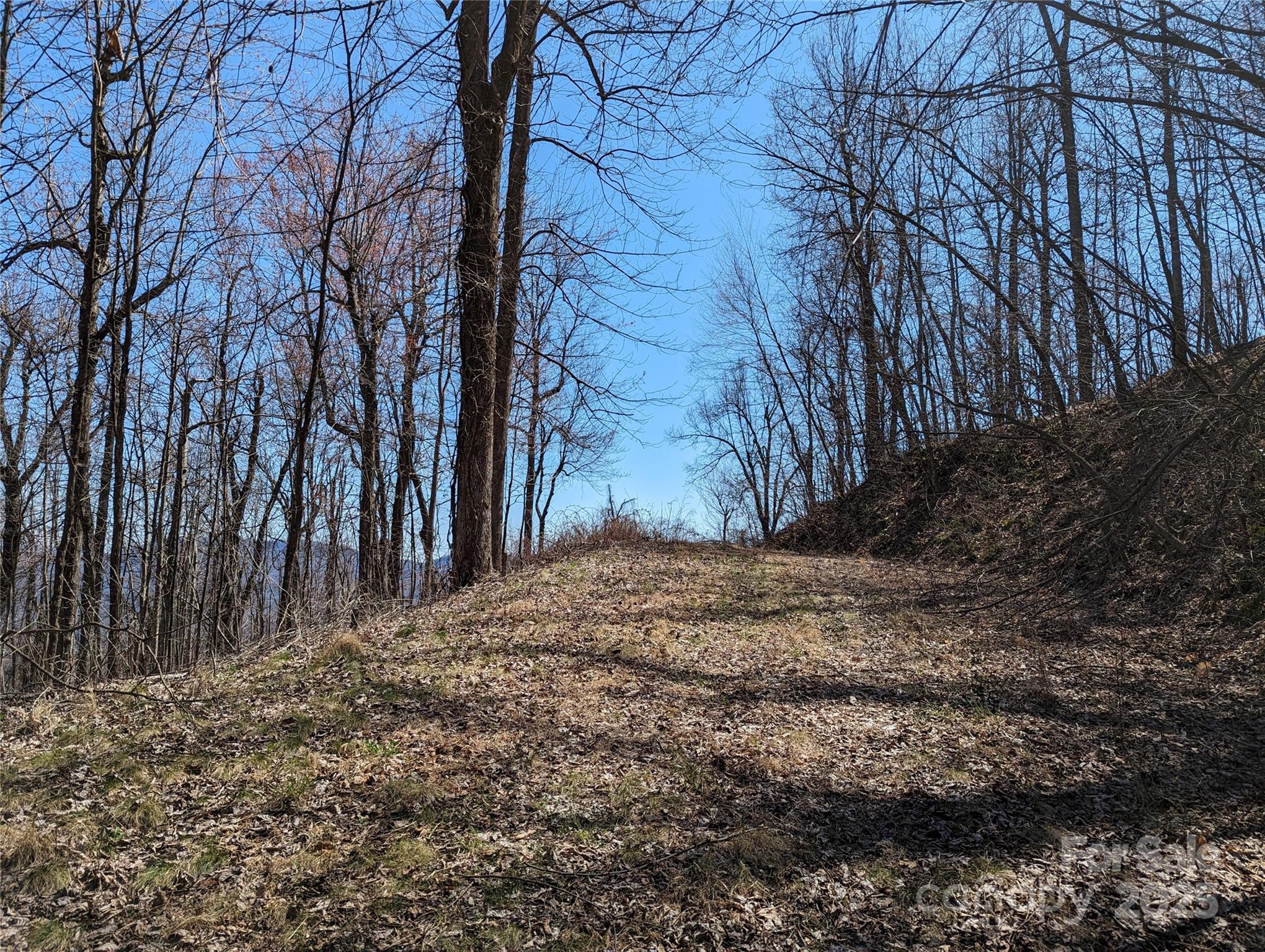 2687 Creston Drive Black Mountain NC 28711