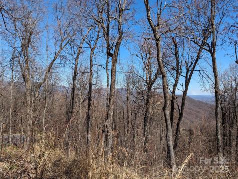 2687 Creston Drive Black Mountain NC 28711