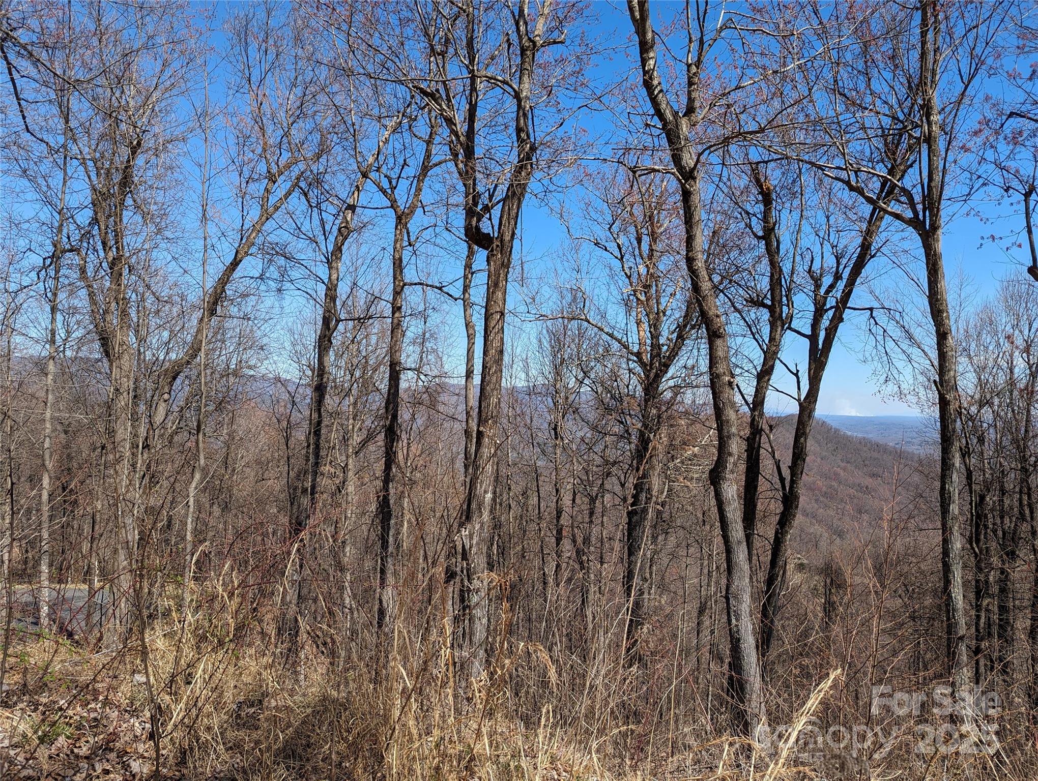 2687 Creston Drive Black Mountain NC 28711