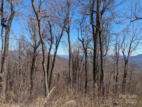 2687 Creston Drive Black Mountain NC 28711