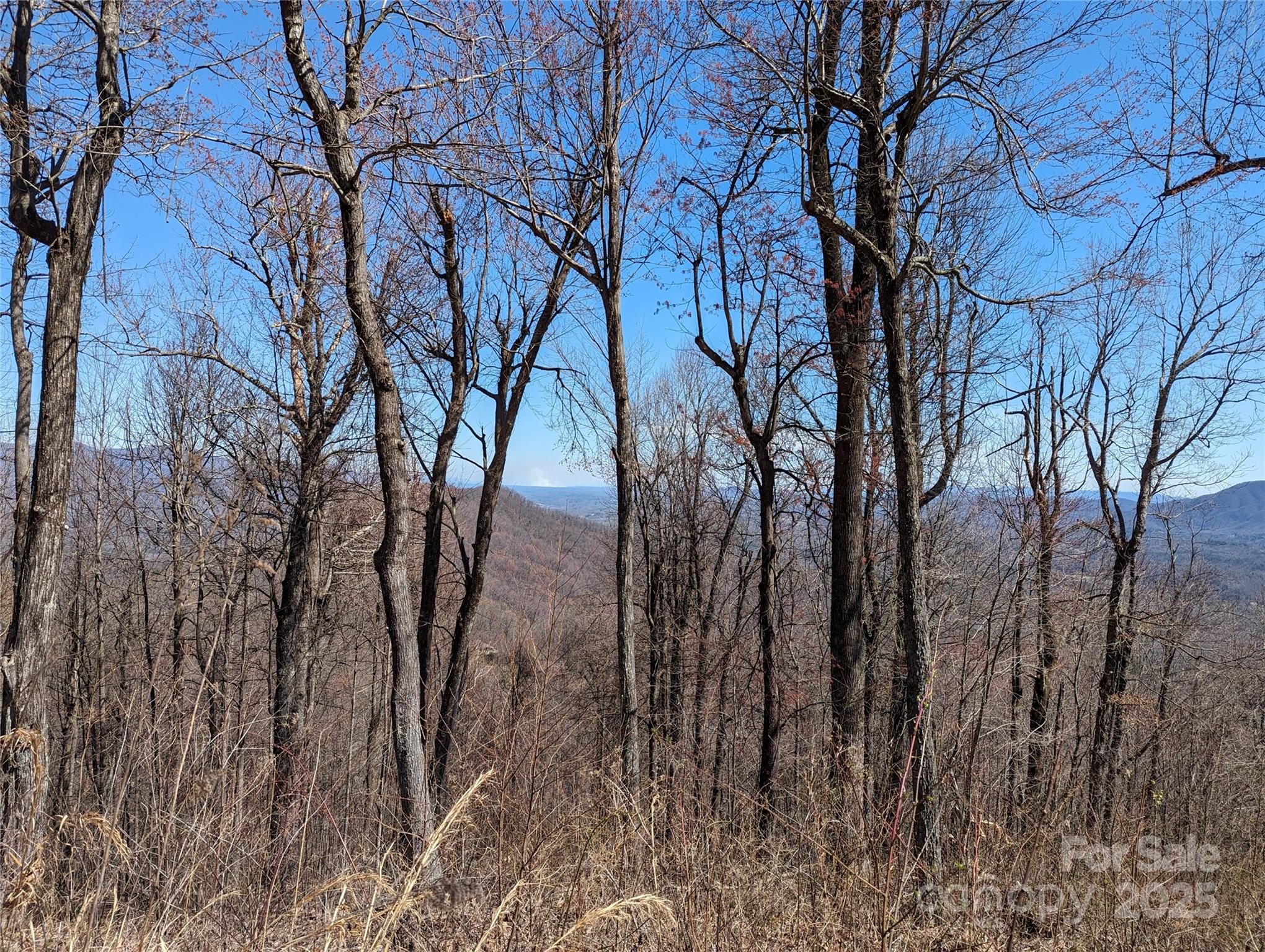 2687 Creston Drive Black Mountain NC 28711