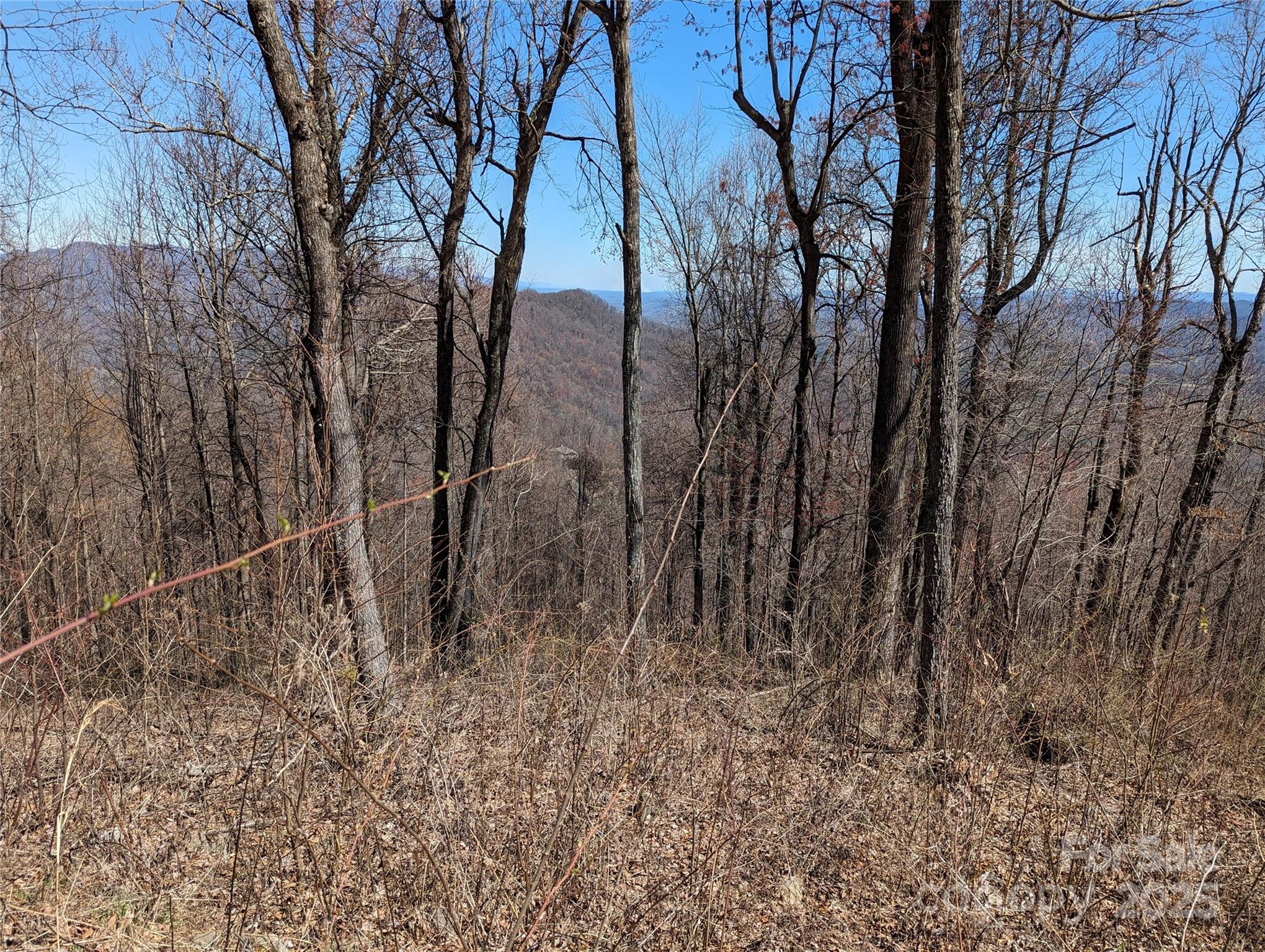 2687 Creston Drive Black Mountain NC 28711