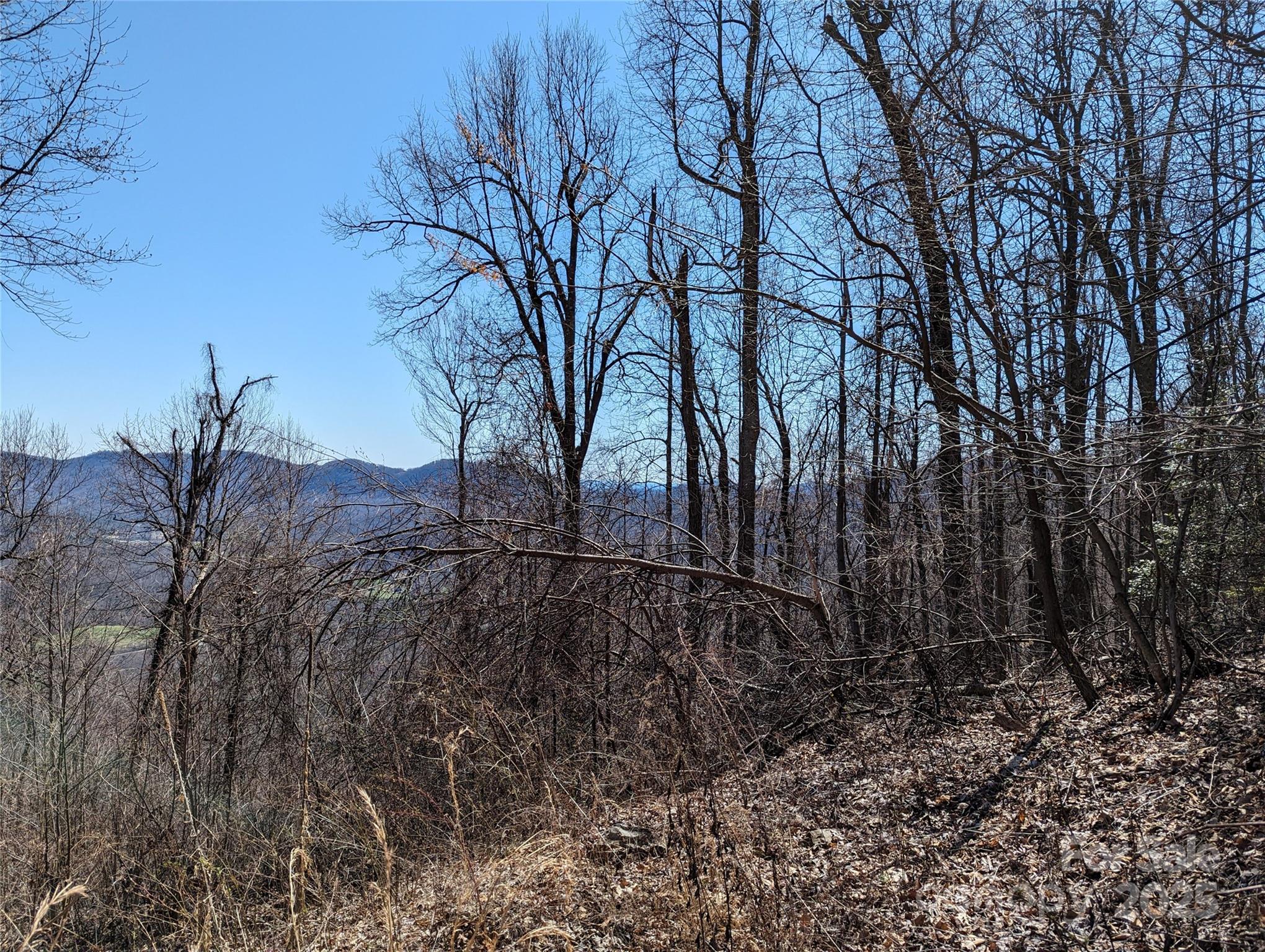 2687 Creston Drive Black Mountain NC 28711