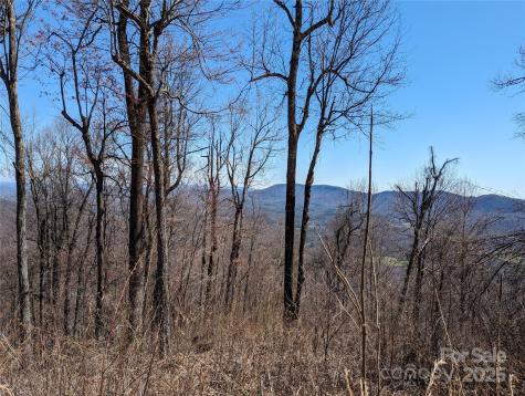 2687 Creston Drive Black Mountain NC 28711