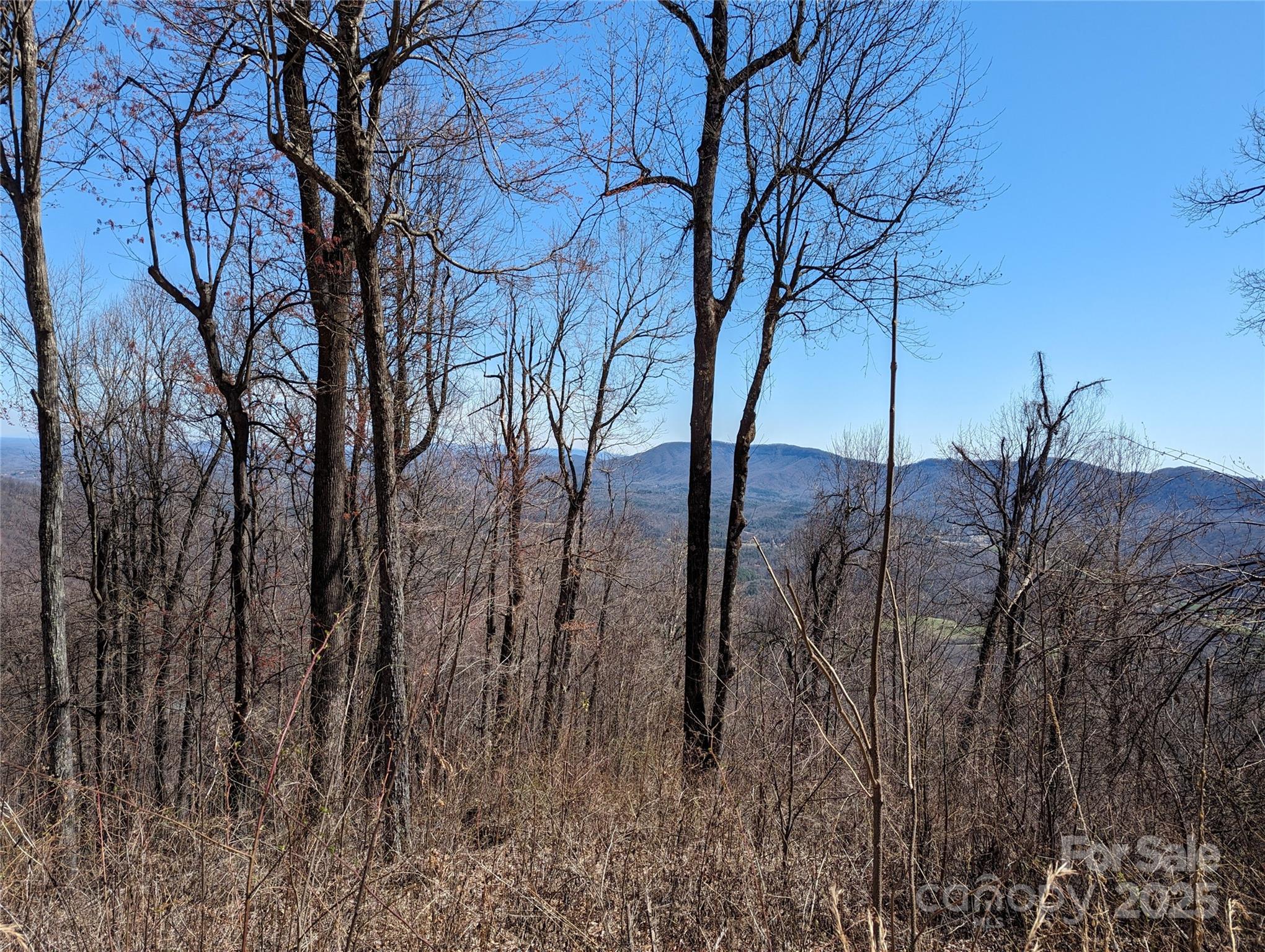 2687 Creston Drive Black Mountain NC 28711
