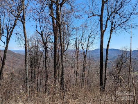 2687 Creston Drive Black Mountain NC 28711