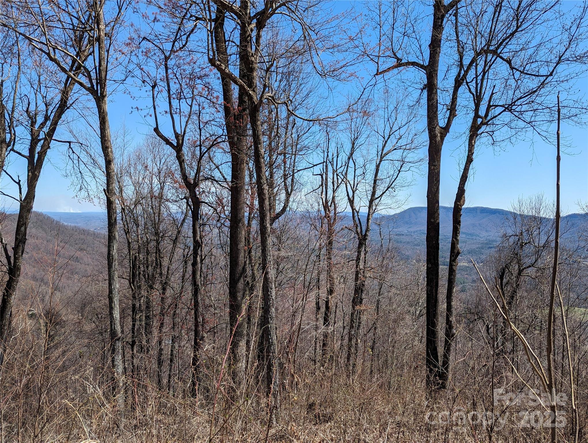 2687 Creston Drive Black Mountain NC 28711