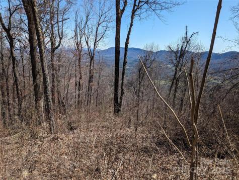 2687 Creston Drive Black Mountain NC 28711