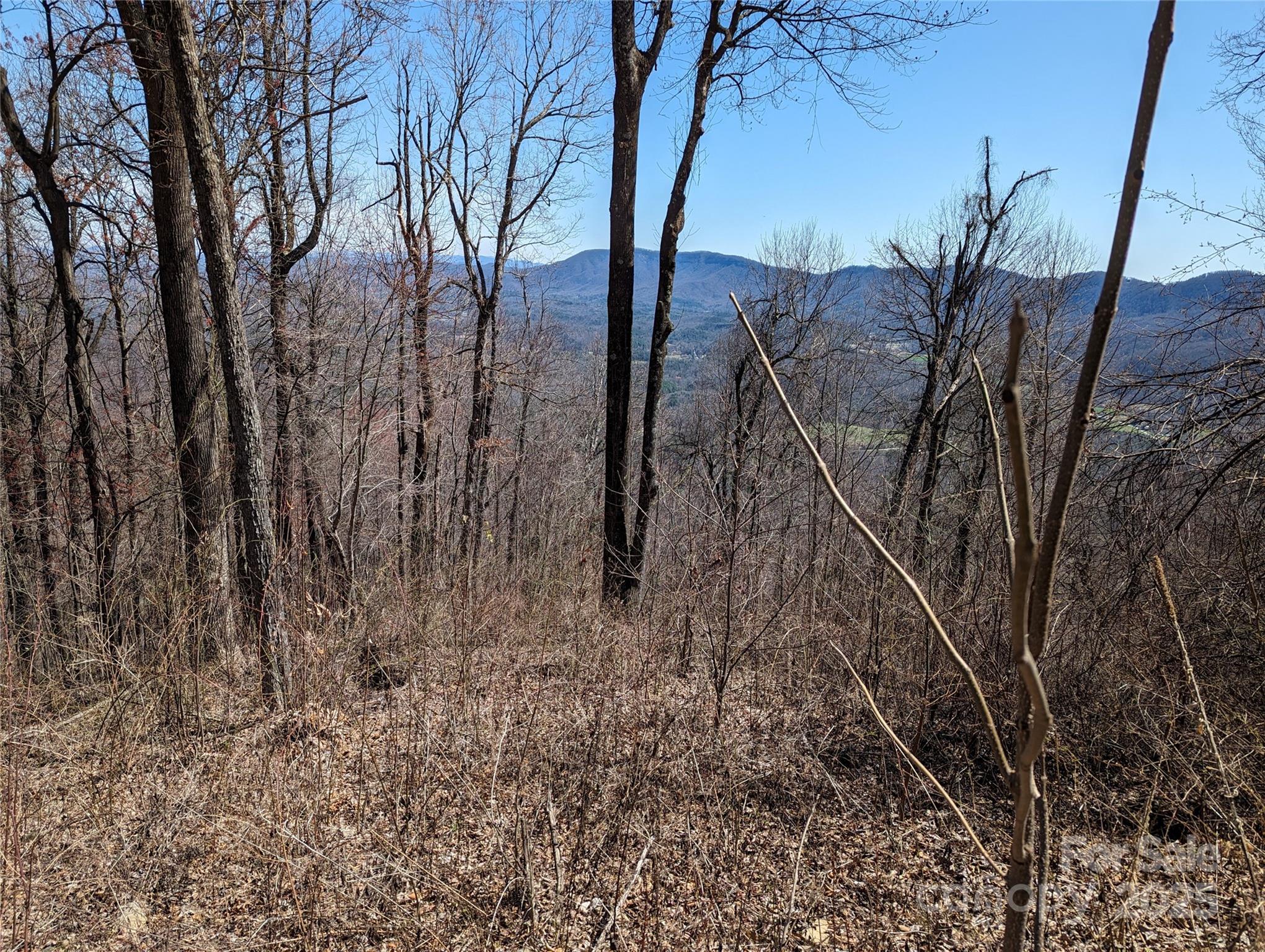 2687 Creston Drive Black Mountain NC 28711