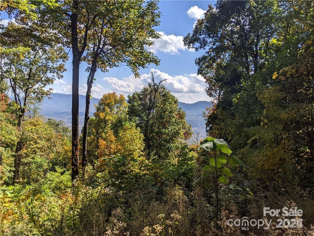 2687 Creston Drive Black Mountain NC 28711